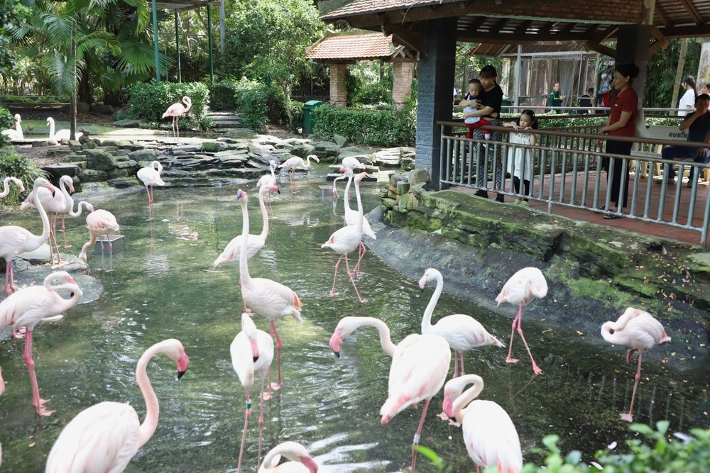 Thuc hu chuyen Thao Cam Vien Sai Gon chuyen ra ngoai thanh hinh anh