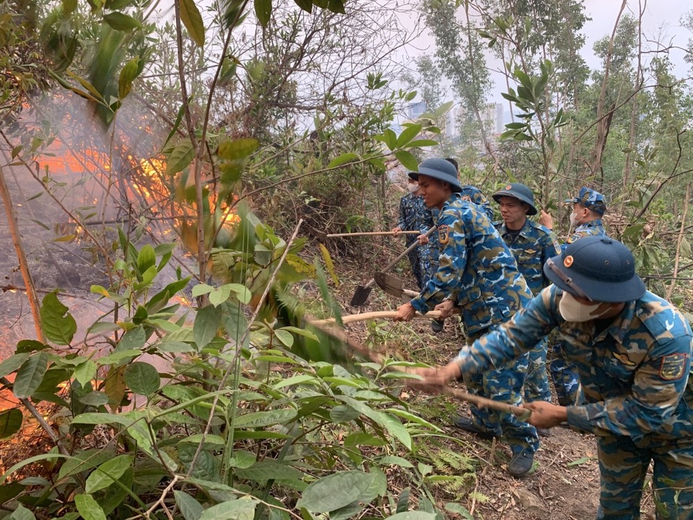 Chay lon Quang Ninh anh 1