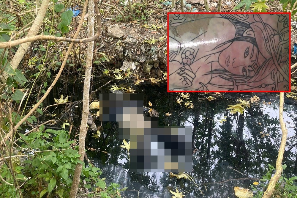 Tim nguoi than nam thanh nien tu vong trong ao sen o TP.HCM hinh anh