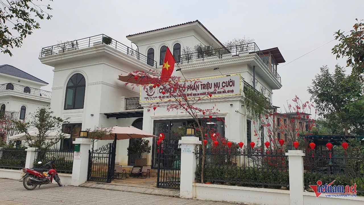 Cty Trieu nu cuoi,  Ho Quoc Than,  Lua dao,  Tien ao anh 1