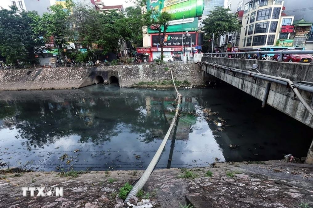 Than to ong Ha Noi anh 1