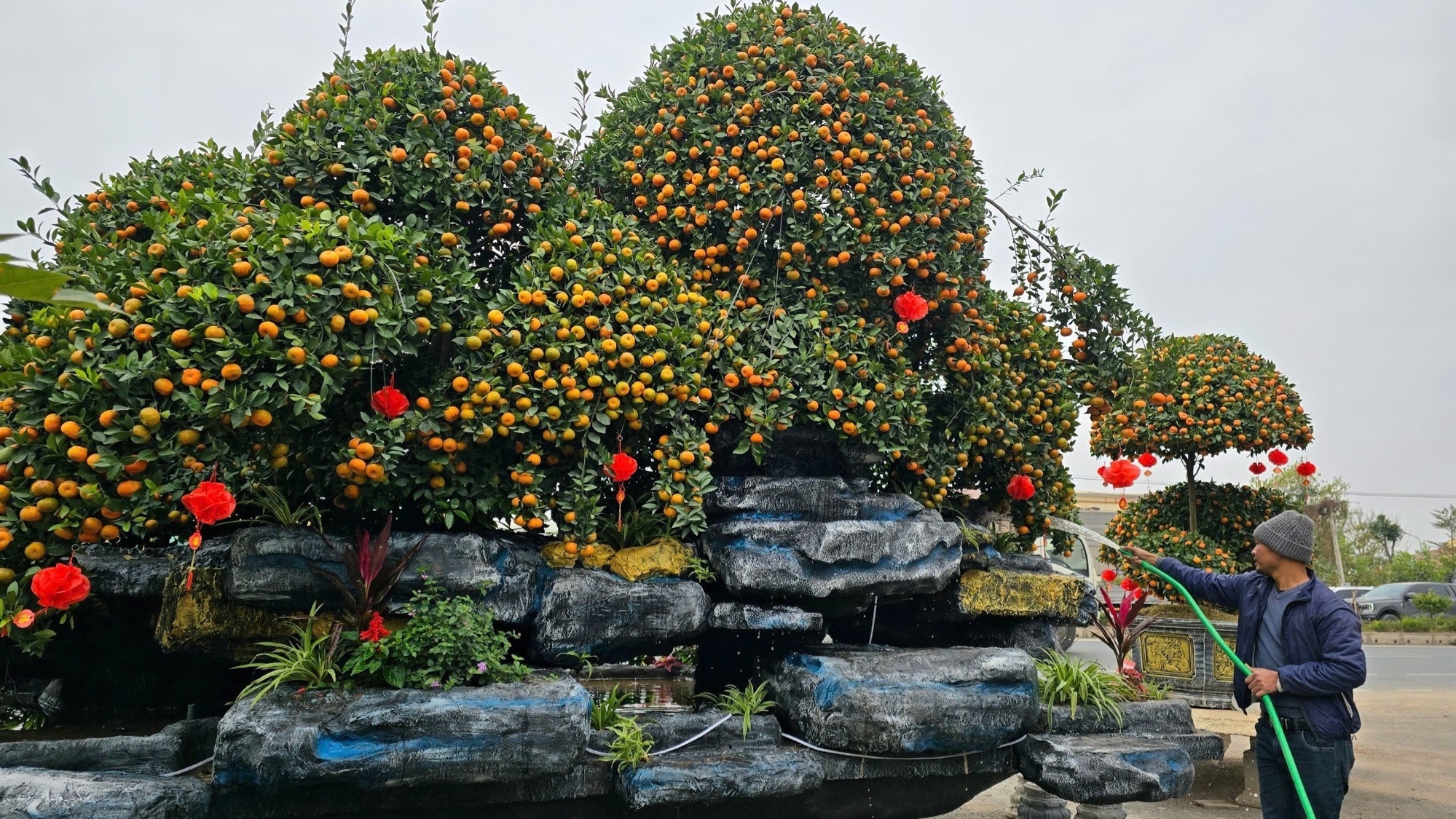 Doc la be quat non bo 'khong lo' o Hung Yen hinh anh