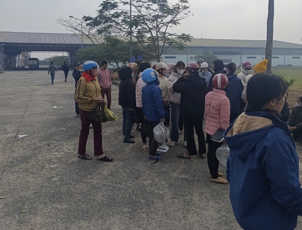 Thanh Hoa dinh cong anh 1