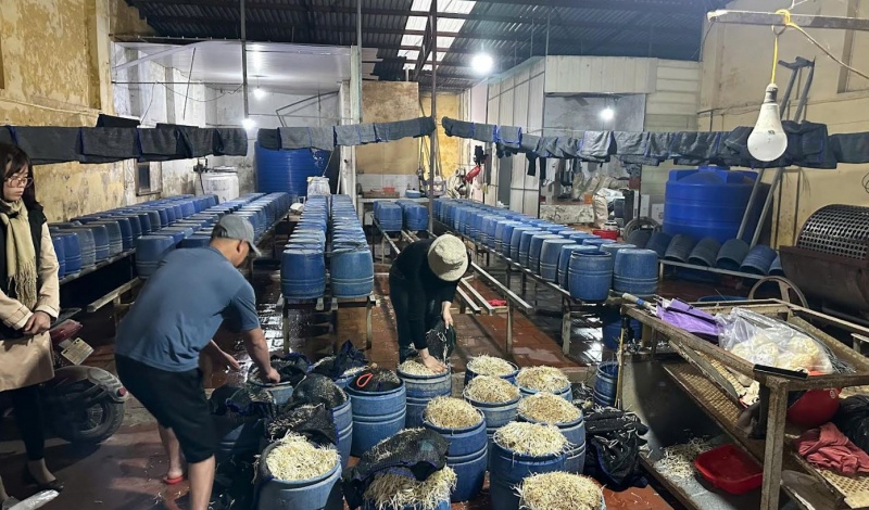 San xuat than toc nua tan gia do bang chat cam moi ngay hinh anh