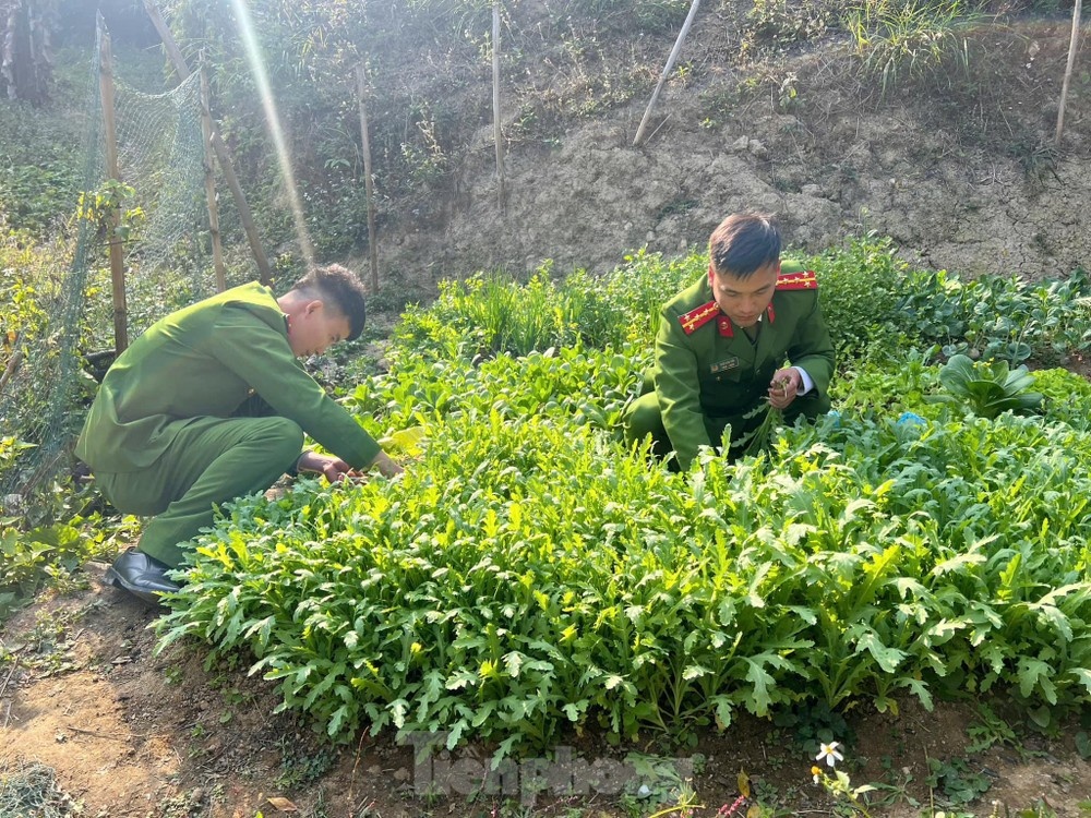 Thuoc phien Lang Son anh 3