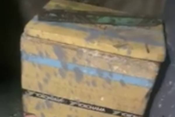 Cua hang kinh doanh nuoc ngot o Long An bi tat mam tom sang mung 1 Tet hinh anh