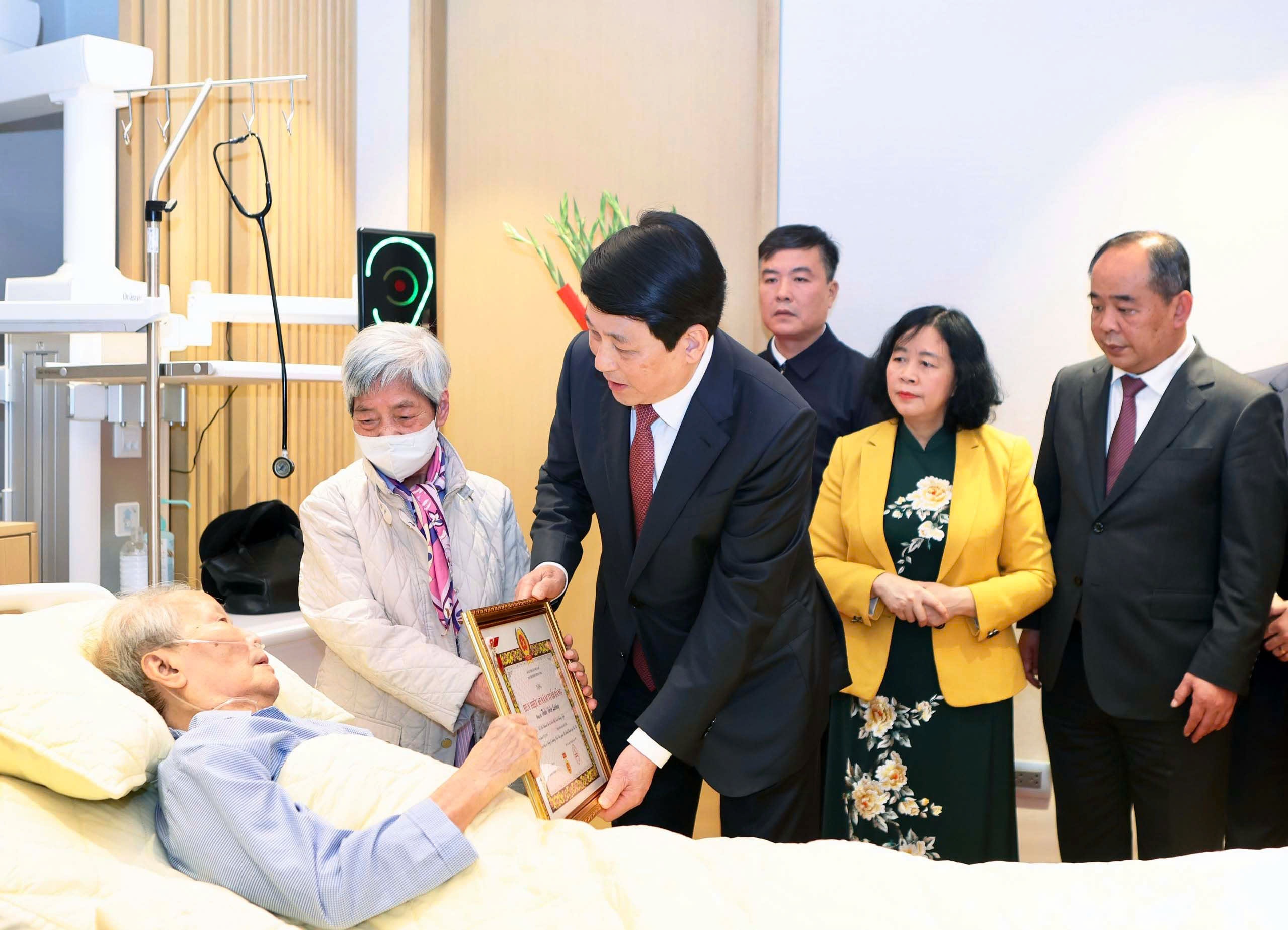 Trao Huy hieu 65 nam tuoi Dang cho nguyen Chu tich nuoc Tran Duc Luong hinh anh