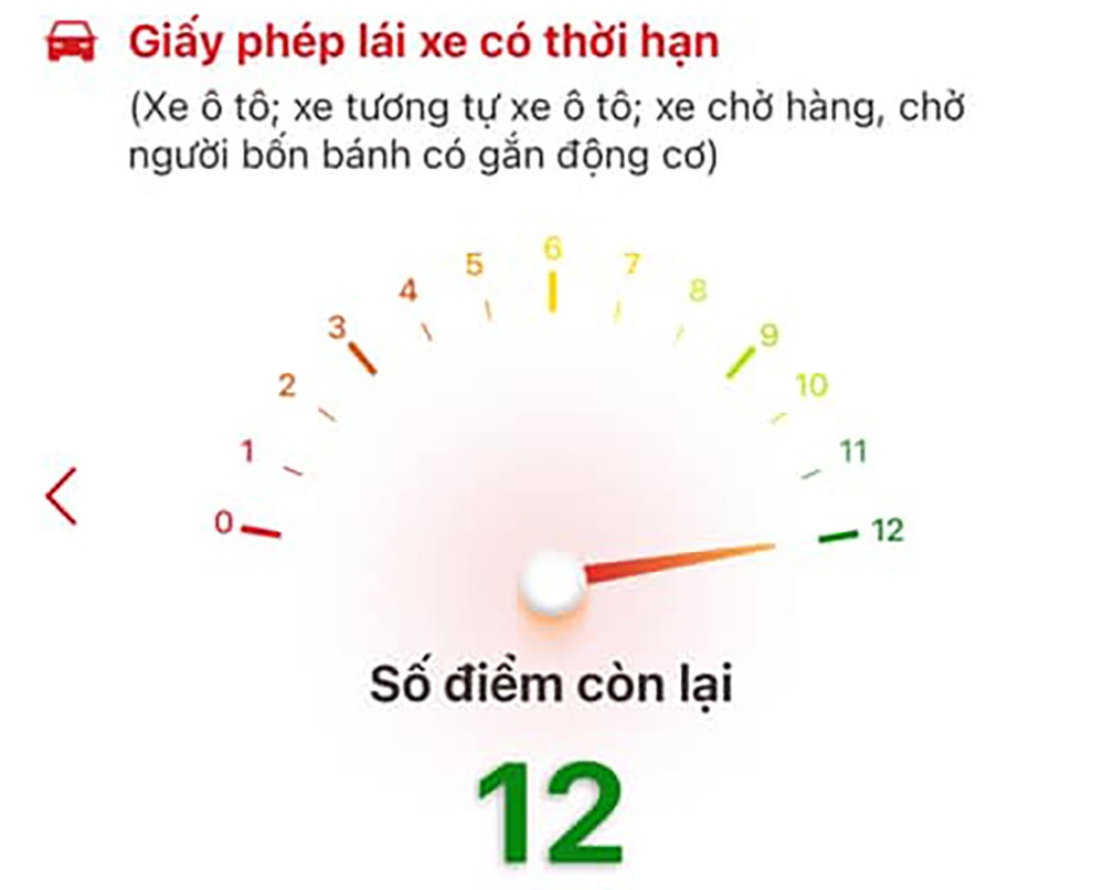 Khoe giay phep lai xe anh 3