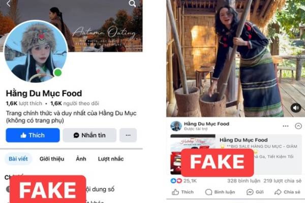 Mua nham hang fanpage 'Hang Du Muc' gia mao, nguoi phu nu mat 1,4 ty hinh anh