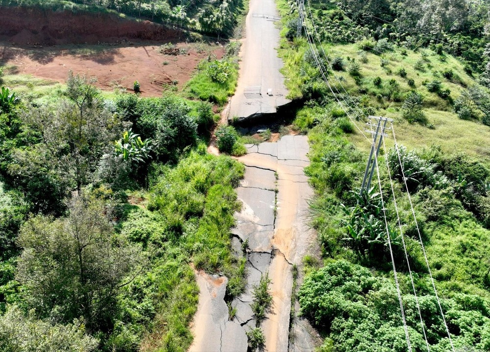 Thu tuong phe binh anh 1