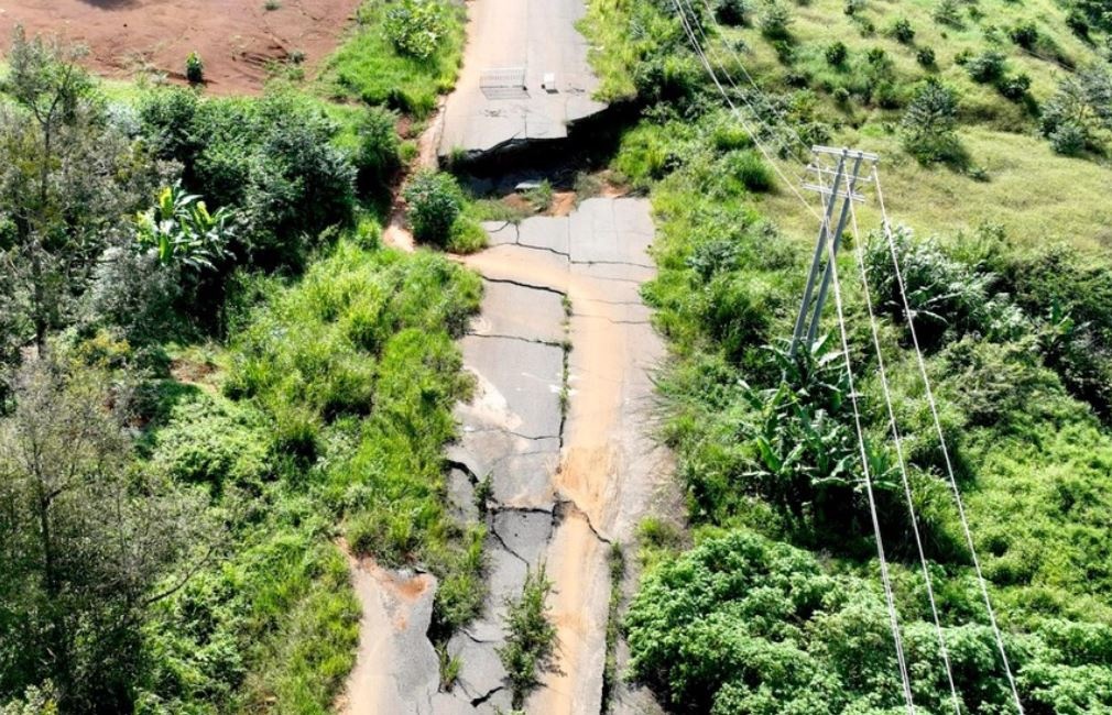 Bi Thu tuong phe binh, dai dien mot so tinh Tay Nguyen noi gi? hinh anh