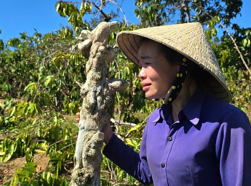 Giang Phuong Thanh Gia Lai anh 2