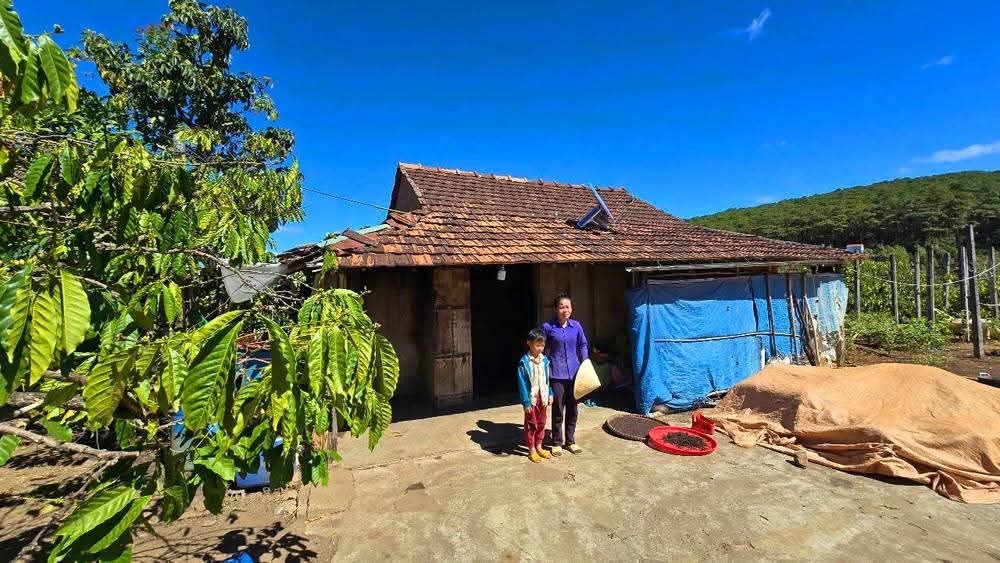 Giang Phuong Thanh Gia Lai anh 4