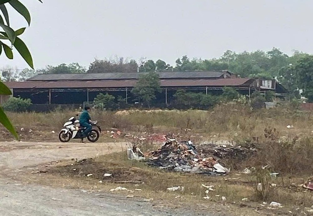 Tai xe xe om cong nghe bi dam, cuop tai san o Binh Duong hinh anh