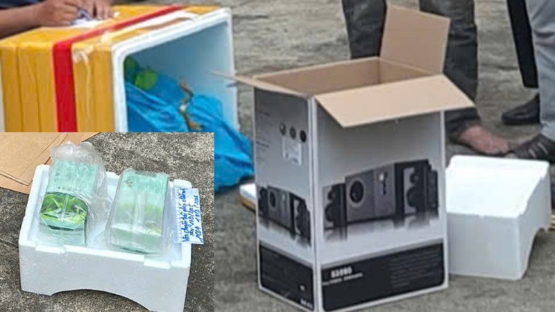 Duong day ma tuy,  Lien tinh,  Yeu to nuoc ngoai anh 1