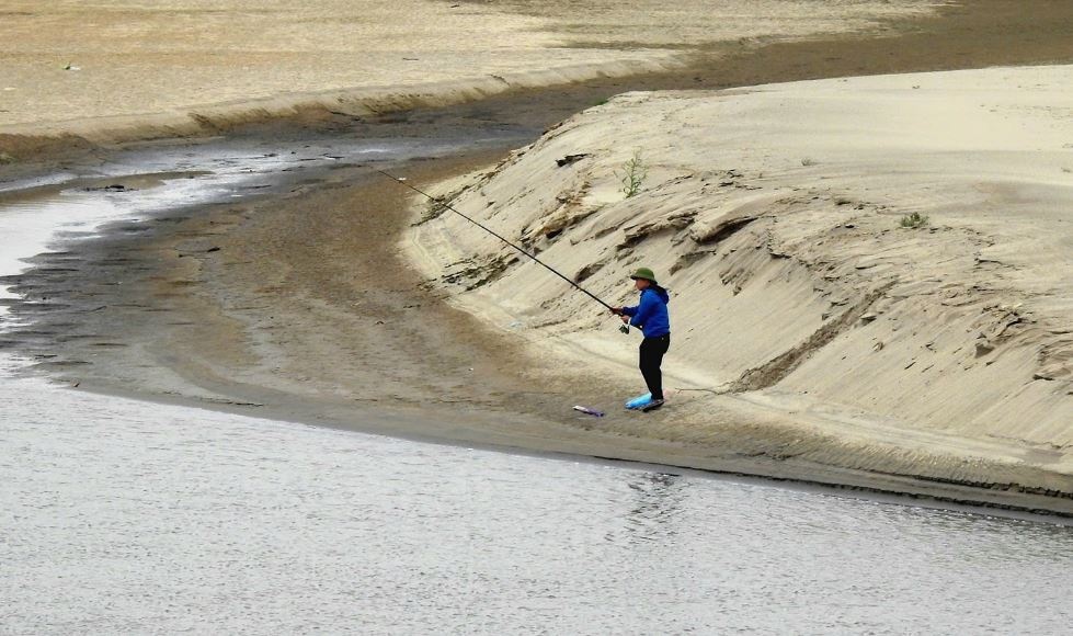 Hinh anh moi nam xuat hien mot lan tren song Hong hinh anh