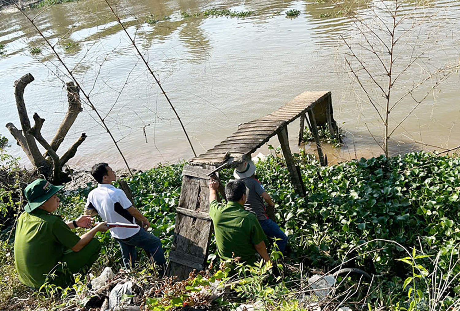 Sat hai,  Ong giao thit heo,  Cuop tai san anh 2