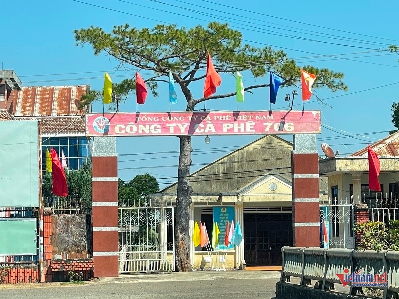 Dong bao hiem ca phe anh 3