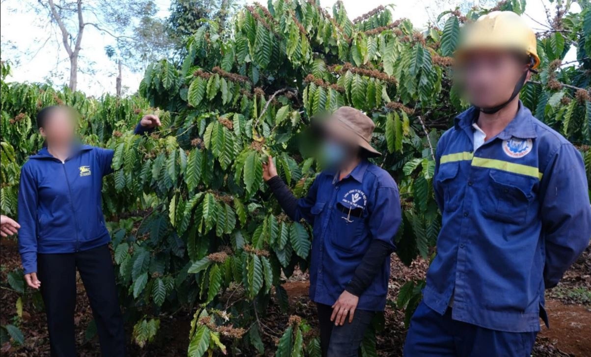 Bat cong nhan dong bao hiem bang ca phe: Giam doc cong ty noi gi? hinh anh