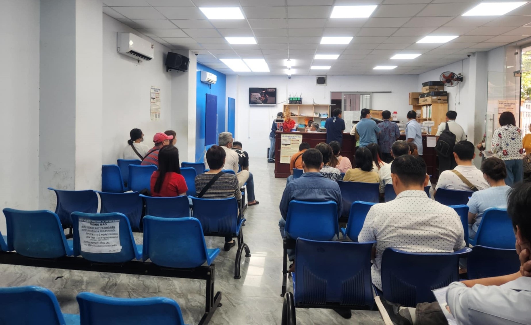 Giay phep lai xe TP.HCM anh 3