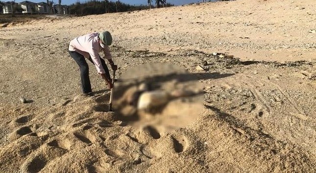 chong phan xac vo anh 1