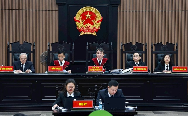 Nguyen Nho Dinh,  Sai Gon Dai Ninh,  Nguyen Cao Tri,  Cong ty Van Lang,  Chu tich Van Lang,  Giam doc Van Lang,  Giao duc Van Lang,  Cong ty Thien Vuong,  Doanh nghiep Thien Vuong,  BDS Thien Vuong,  Dai Ninh Lavender,  Phan Thi Hoa anh 1