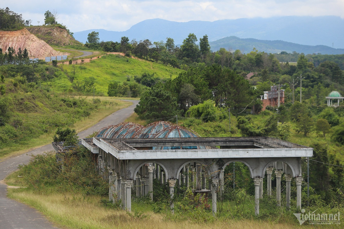 Nguyen Nho Dinh,  Sai Gon Dai Ninh,  Nguyen Cao Tri,  Cong ty Van Lang,  Chu tich Van Lang,  Giam doc Van Lang,  Giao duc Van Lang,  Cong ty Thien Vuong,  Doanh nghiep Thien Vuong,  BDS Thien Vuong,  Dai Ninh Lavender,  Phan Thi Hoa anh 1
