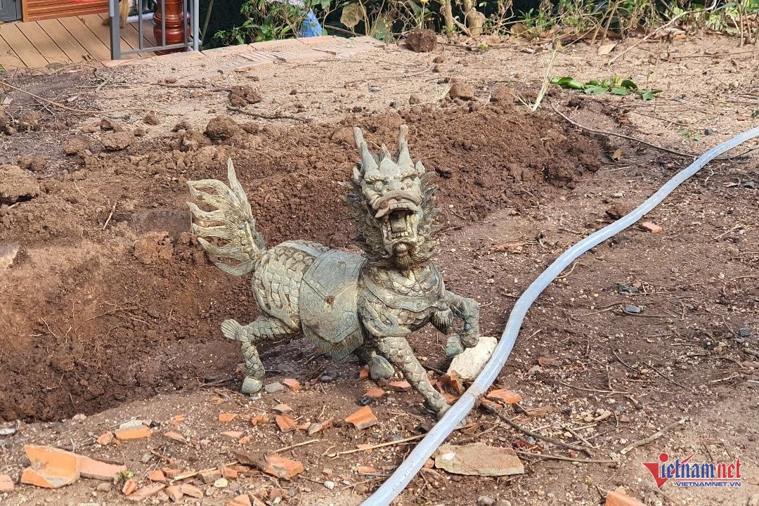 Vu lua dao,  Hon 80 ty dong anh 4