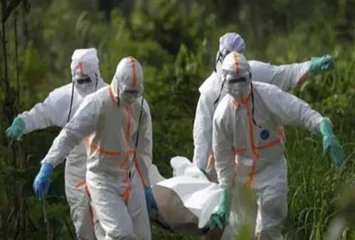 Bao dong benh la giet chet hon 50 nguoi tai CHDC Congo hinh anh