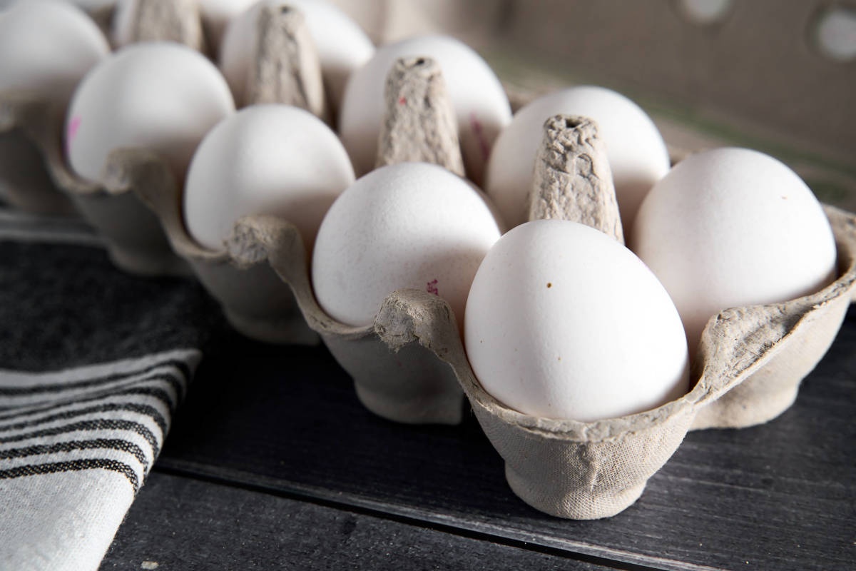 My chi 1 ty USD doi pho voi cuoc khung hoang trung hinh anh