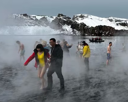 Canh tuong gay soc o vuong quoc cua chim canh cut hinh anh