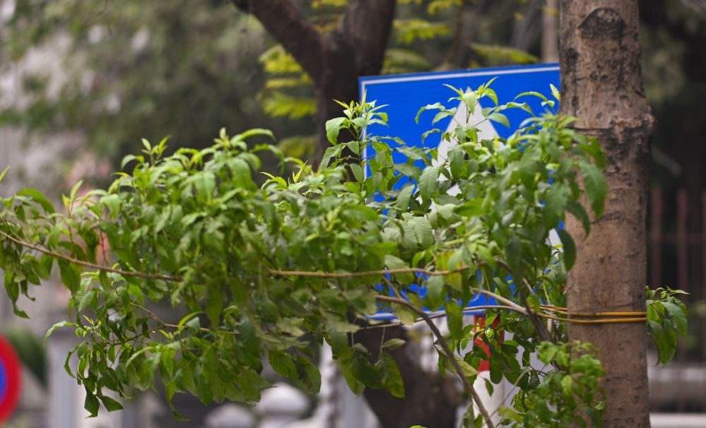 Ha Noi thay the, sua chua gan 3.000 bien bao, den giao thong hinh anh