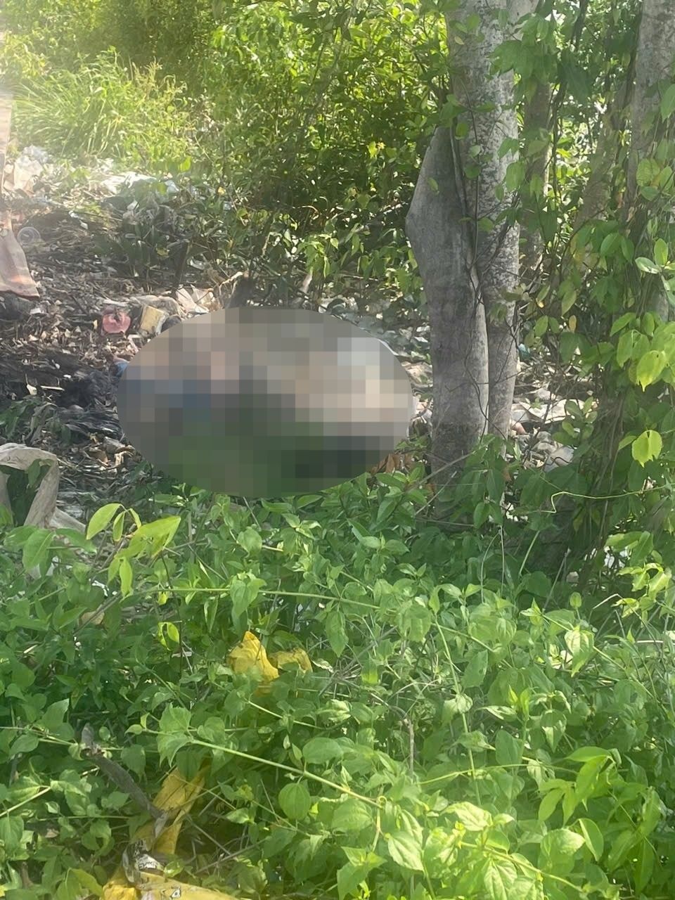 Thi the Bac Lieu anh 1