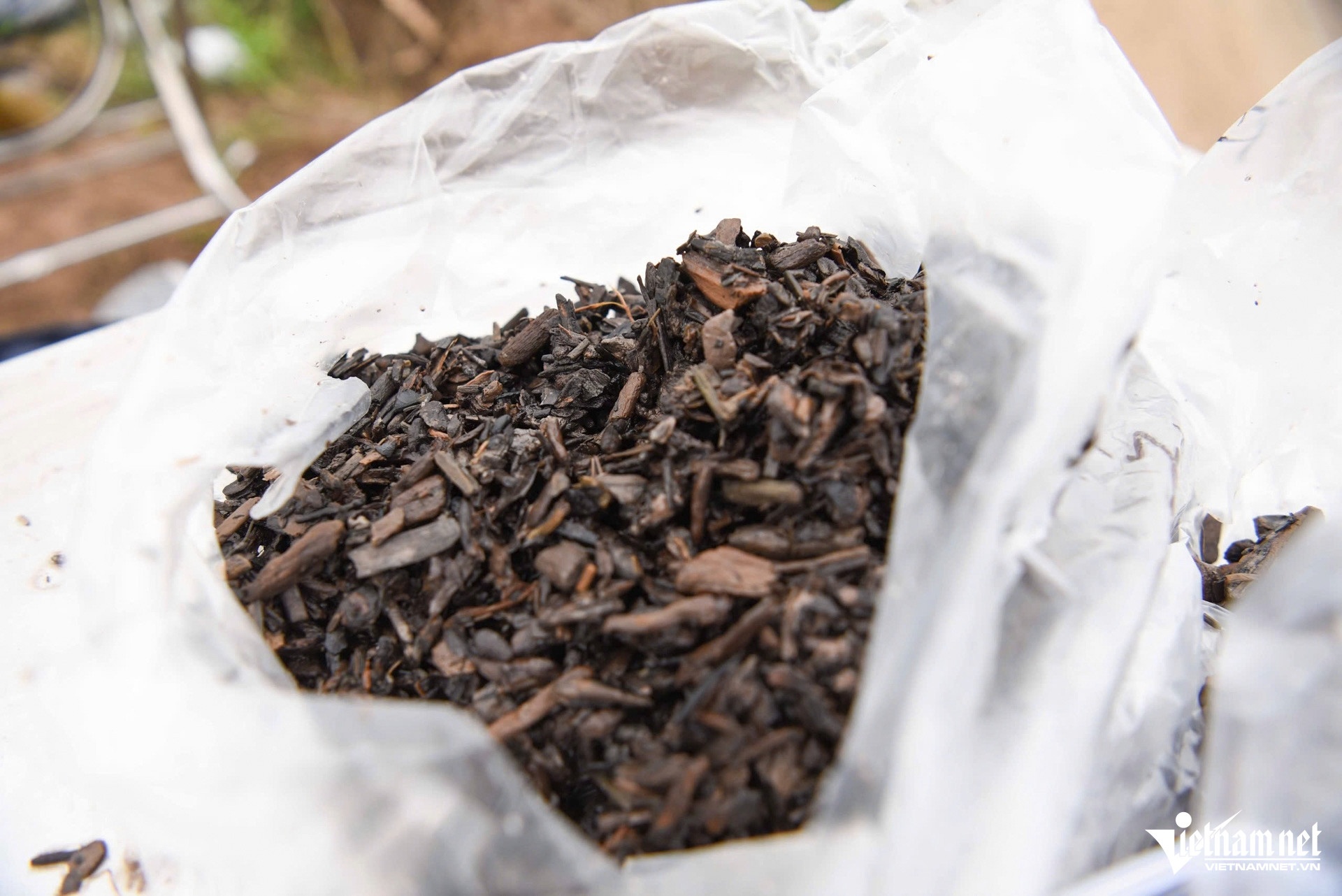 thuyen co kich thuoc lon anh 7