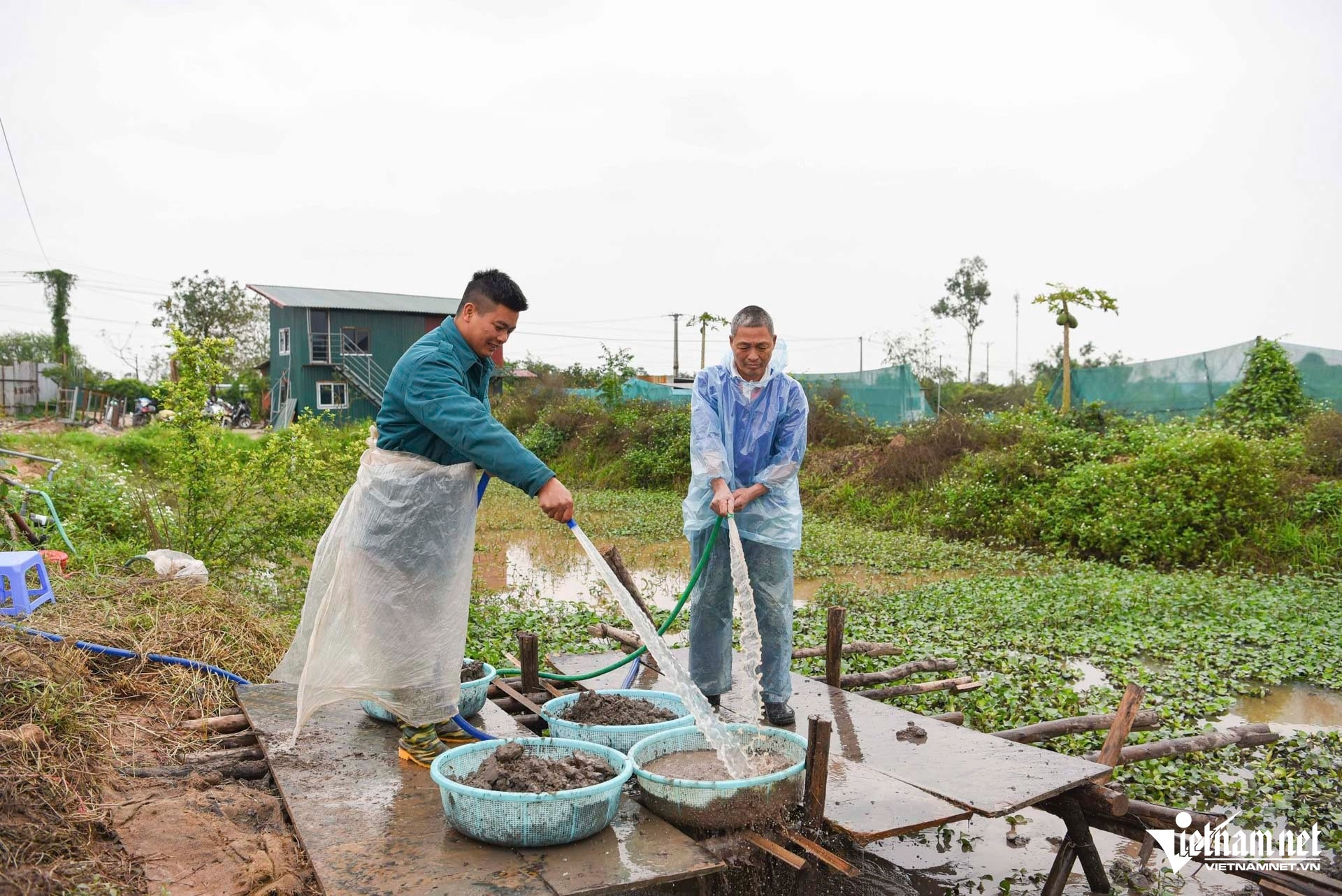 thuyen co kich thuoc lon anh 5