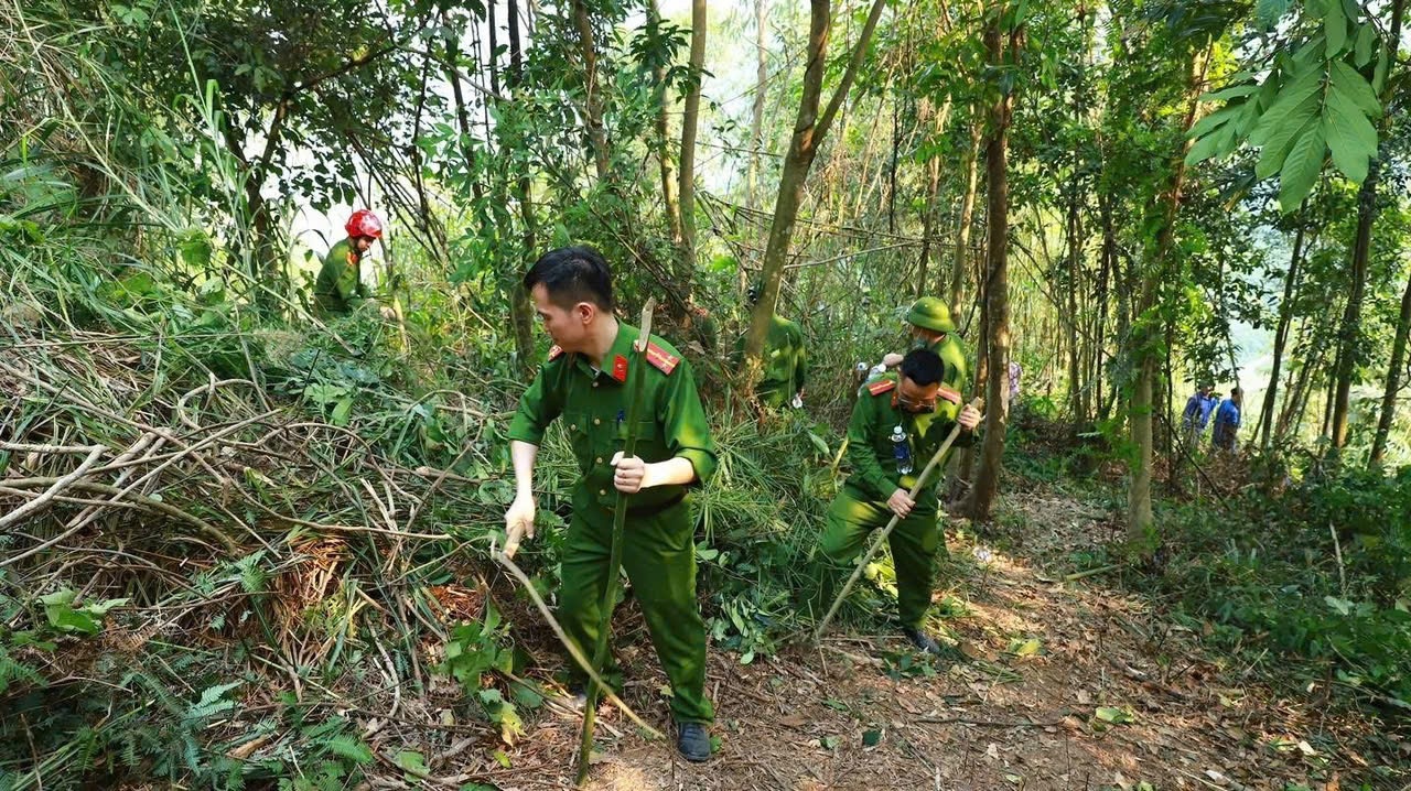 Chay rung Tuyen Quang anh 2