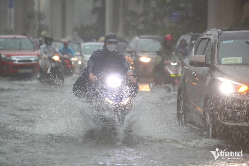 La Nina Sai Gon TP.HCM anh 1