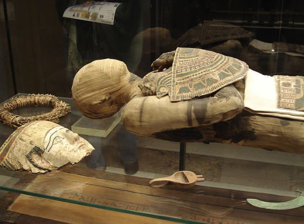 xac uop Bashiri anh 2