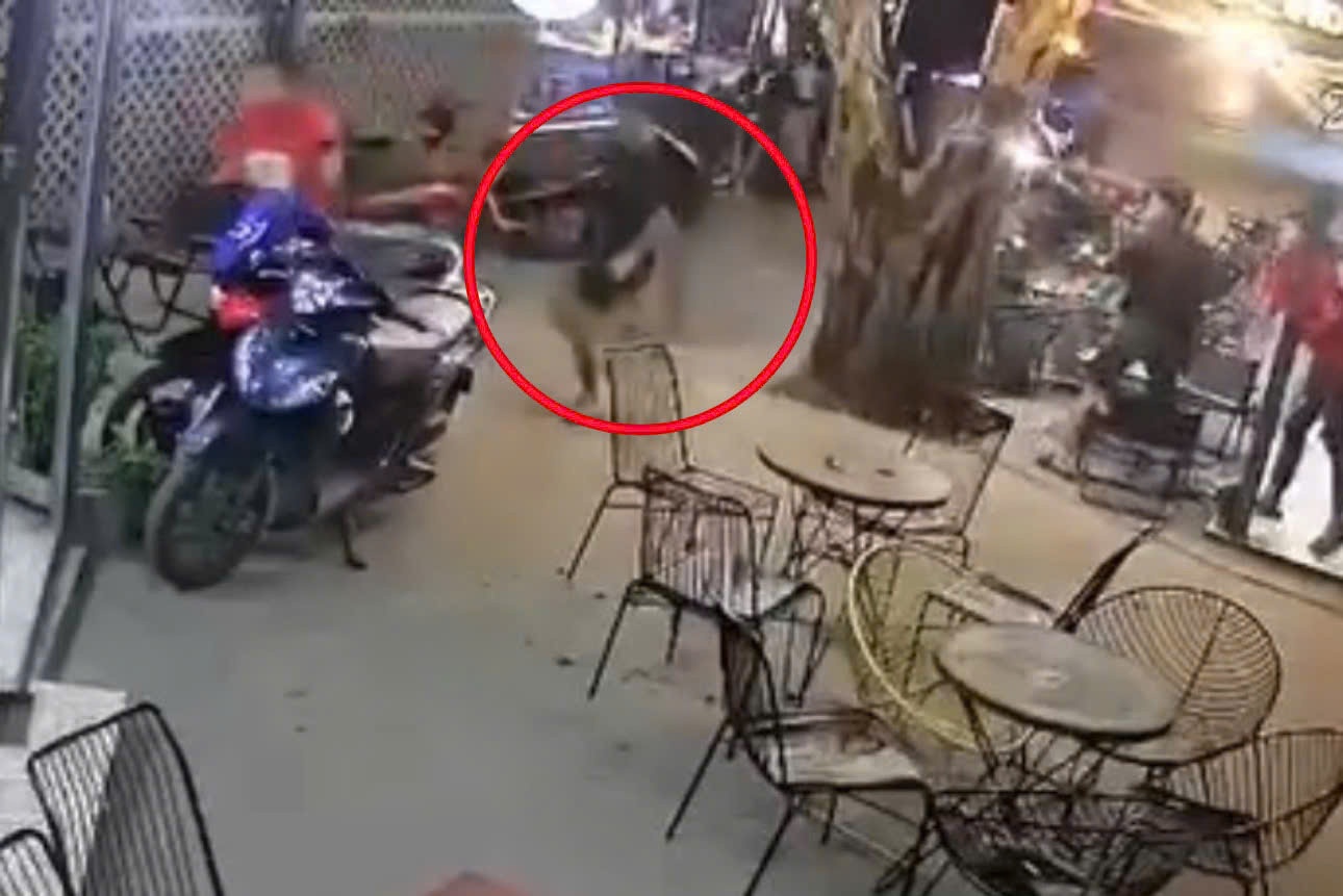 Ca phe Dong Nai anh 1