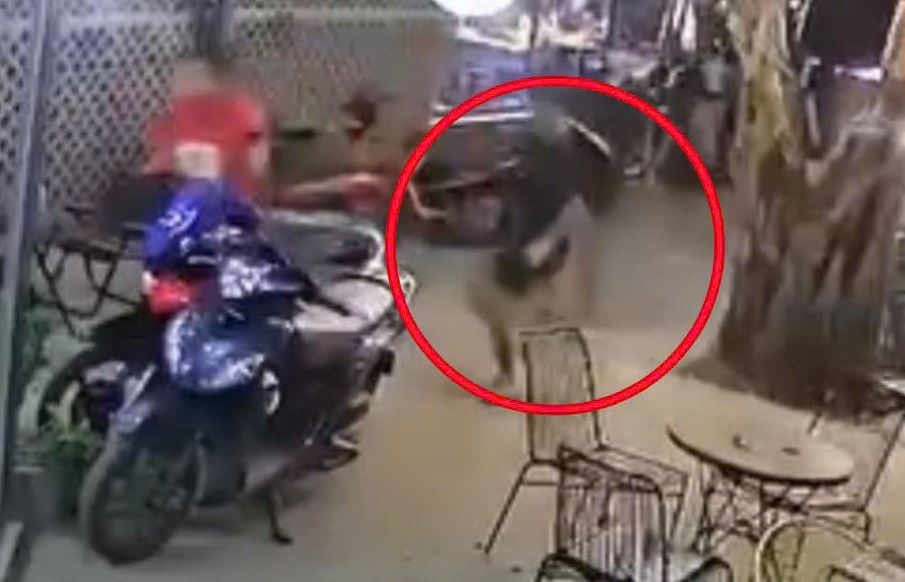 Bat doi tuong hanh hung thieu nien tai quan ca phe o Dong Nai hinh anh