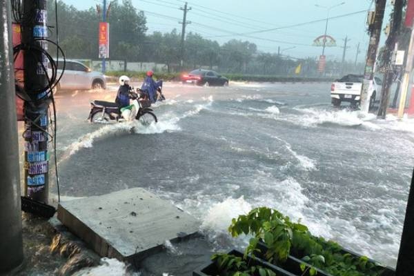 Mua nhu trut nuoc o Binh Duong hinh anh