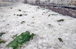 19 nguoi chet, 90 nguoi bi thuong do mua da o Pakistan hinh anh