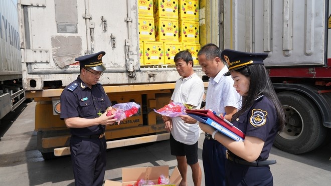 11 vu buon lau,  gian lan thuong mai,   Dinh Vu,  Nam Hai Dinh Vu,  Tan Vu,  VIP Green,  Cat Lai,  ICD Phuoc Long,  Hiep Phuoc,  Cai Mep anh 1