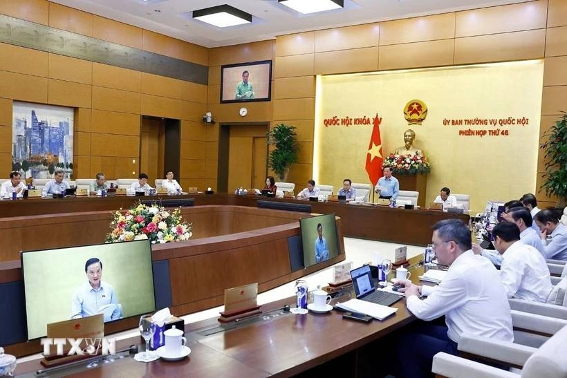 Thuong vu Quoc hoi anh 1