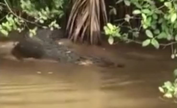 Can canh ca sau dai 2 m tren kenh o Ben Tre hinh anh