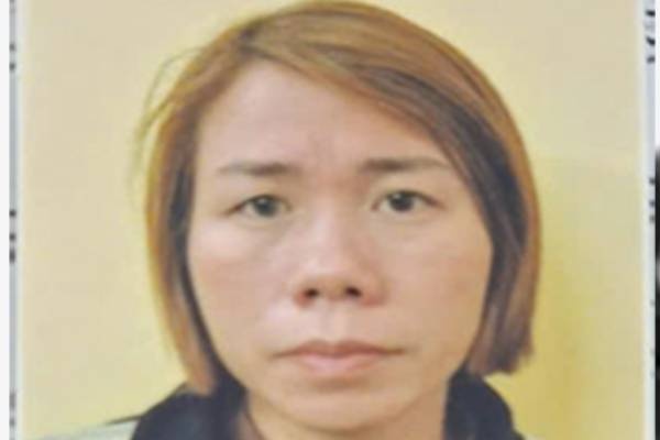 Tu vu an mai dam, kham pha vu co gai bi sat hai, phi tang xac hinh anh