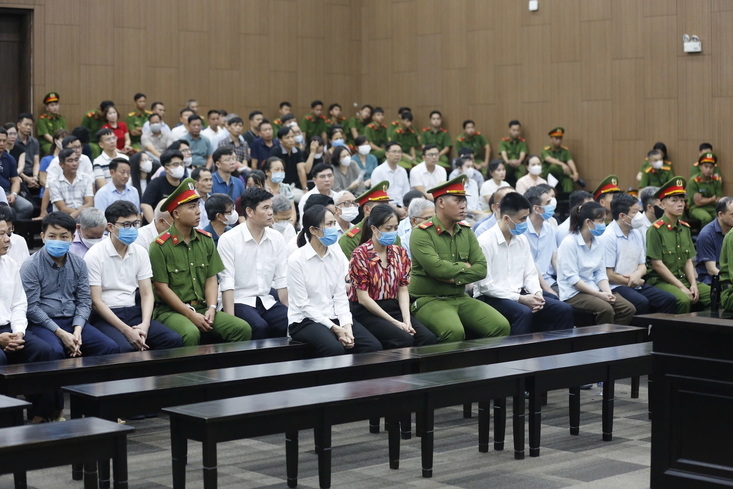 Tap doan Phuc Son,  Nguyen Van Hau anh 1