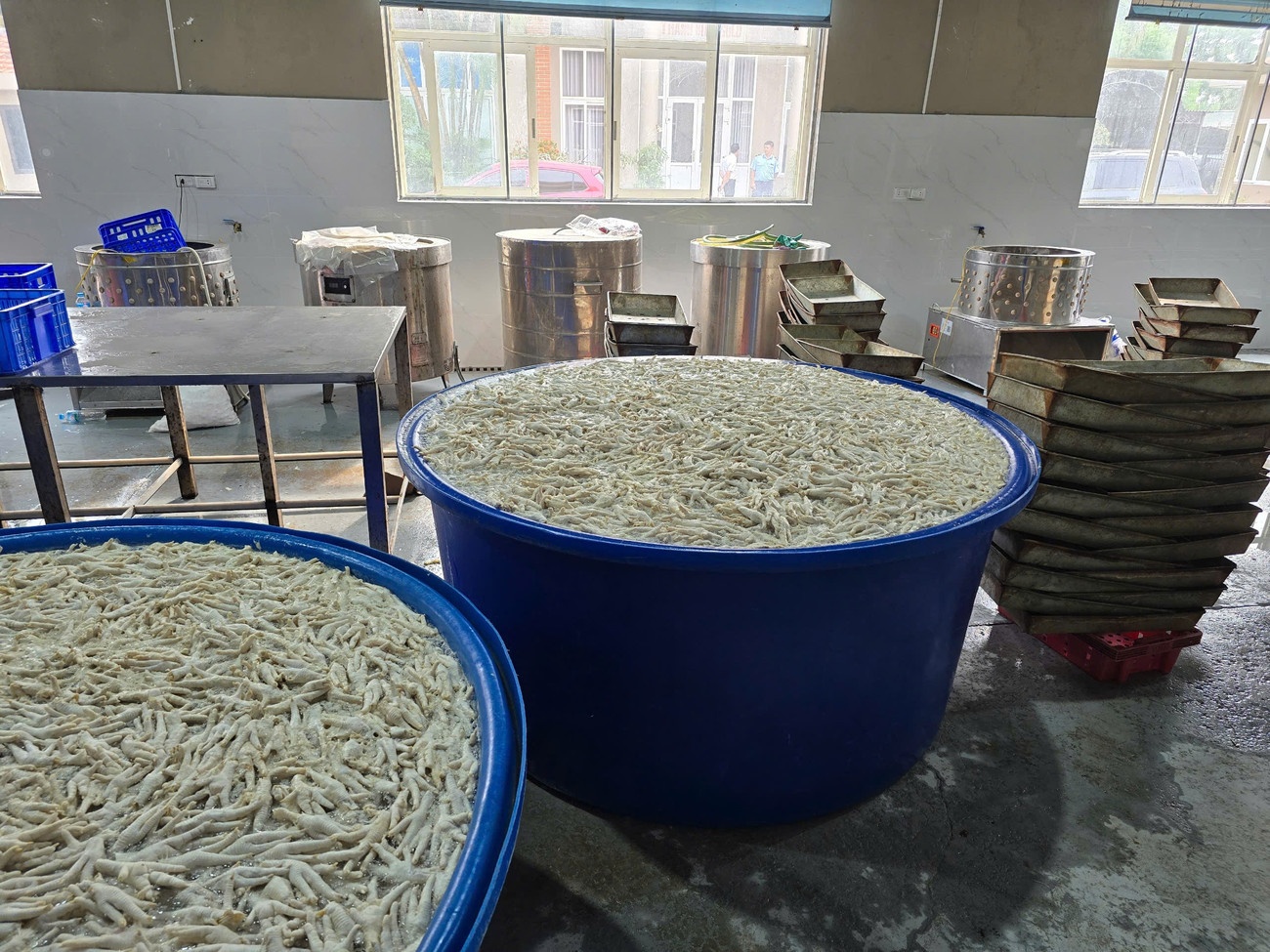 Chan ga Thanh Hoa anh 1