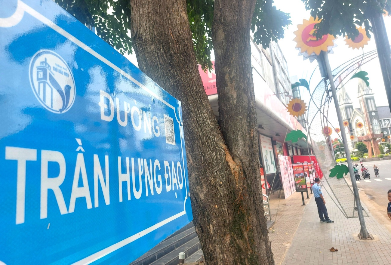 Sap nhap TP.HCM Binh Duong anh 5
