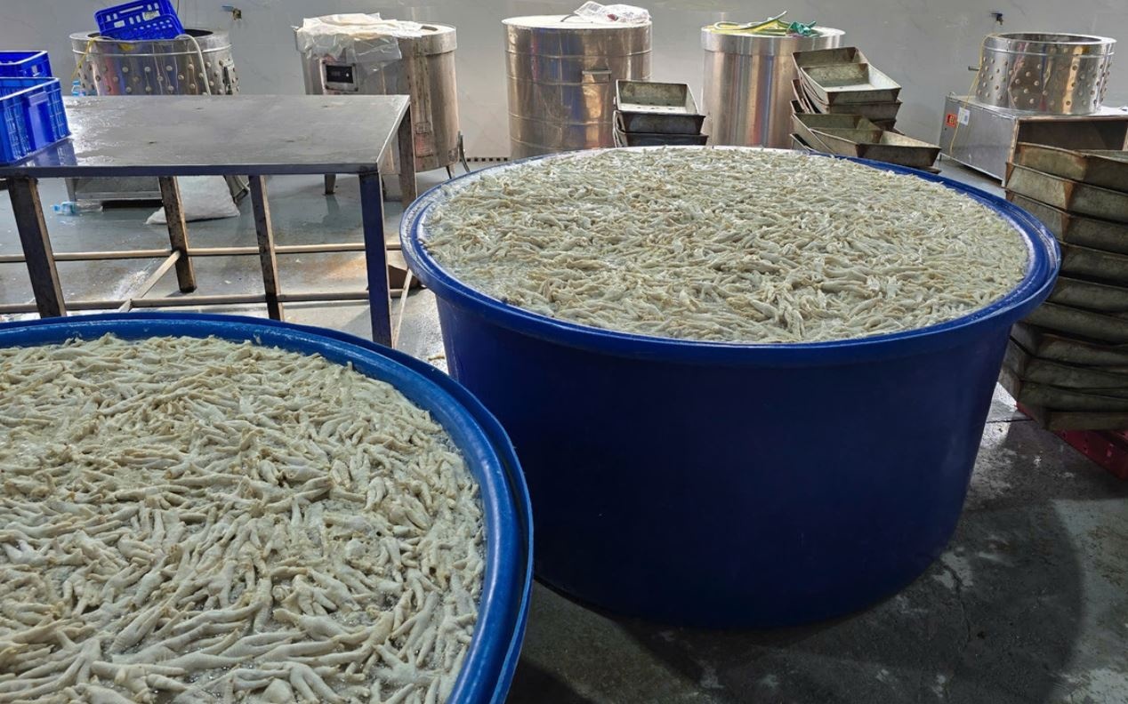 Hon 13 tan chan ga ngam hoa chat trong kho dong lanh o Thanh Hoa hinh anh